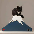 Triangle cat scratching board