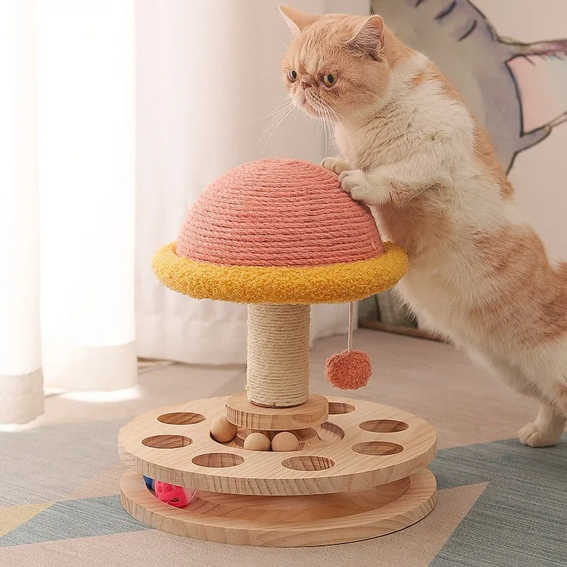 Pet scratch toys