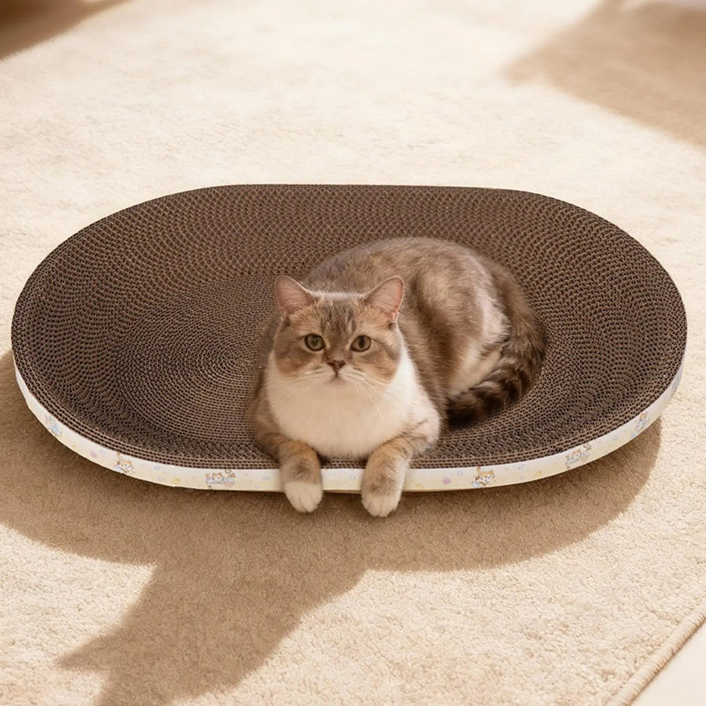 Cat scratch board oval nest