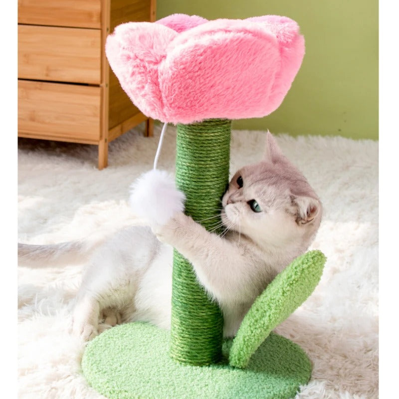 Cat scratch pole