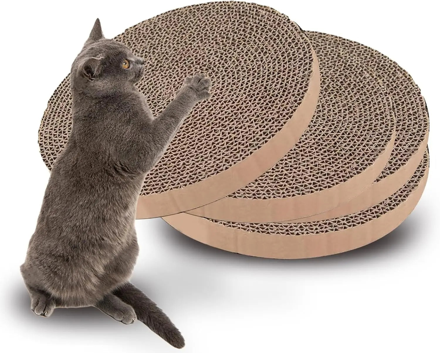 Circular flat cat scratch board