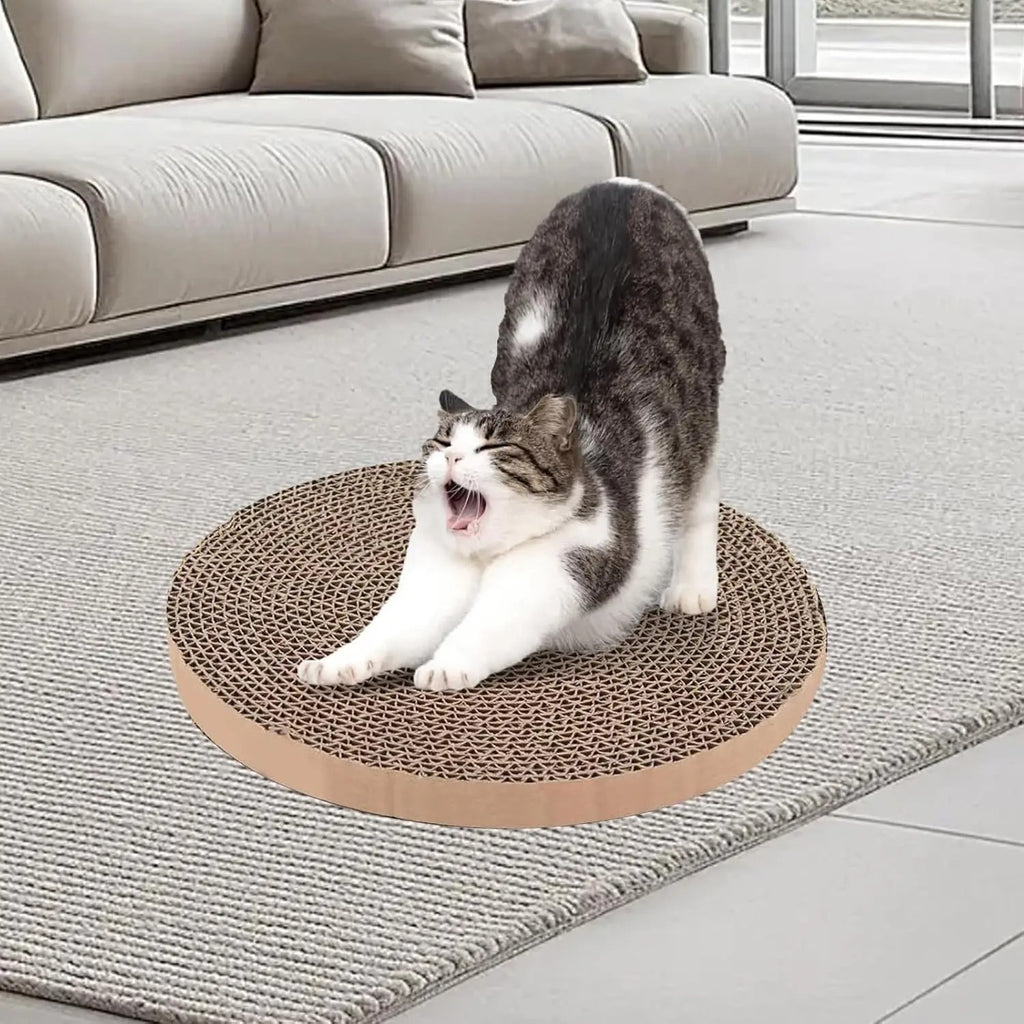 Circular flat cat scratch board
