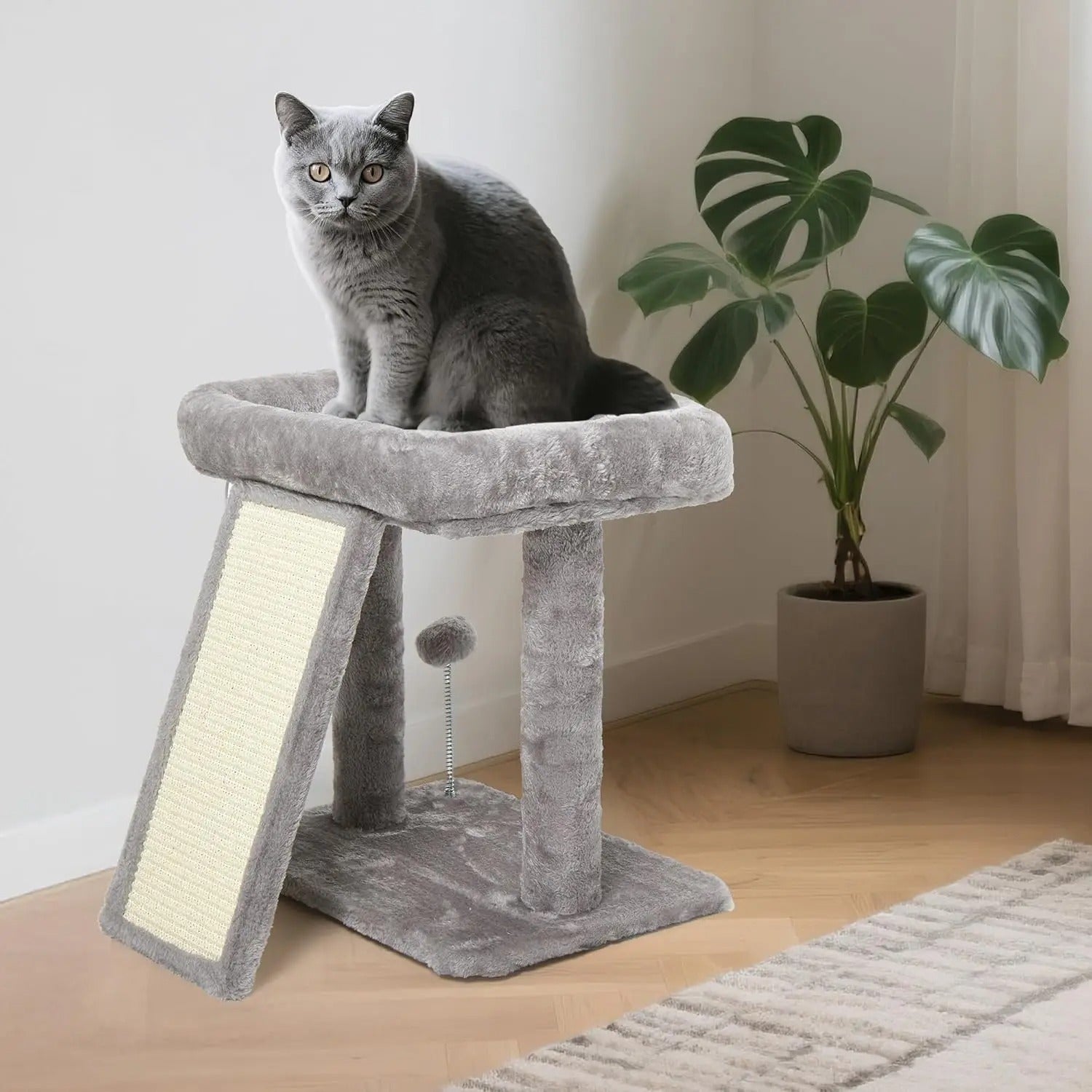 Cat climbing rack