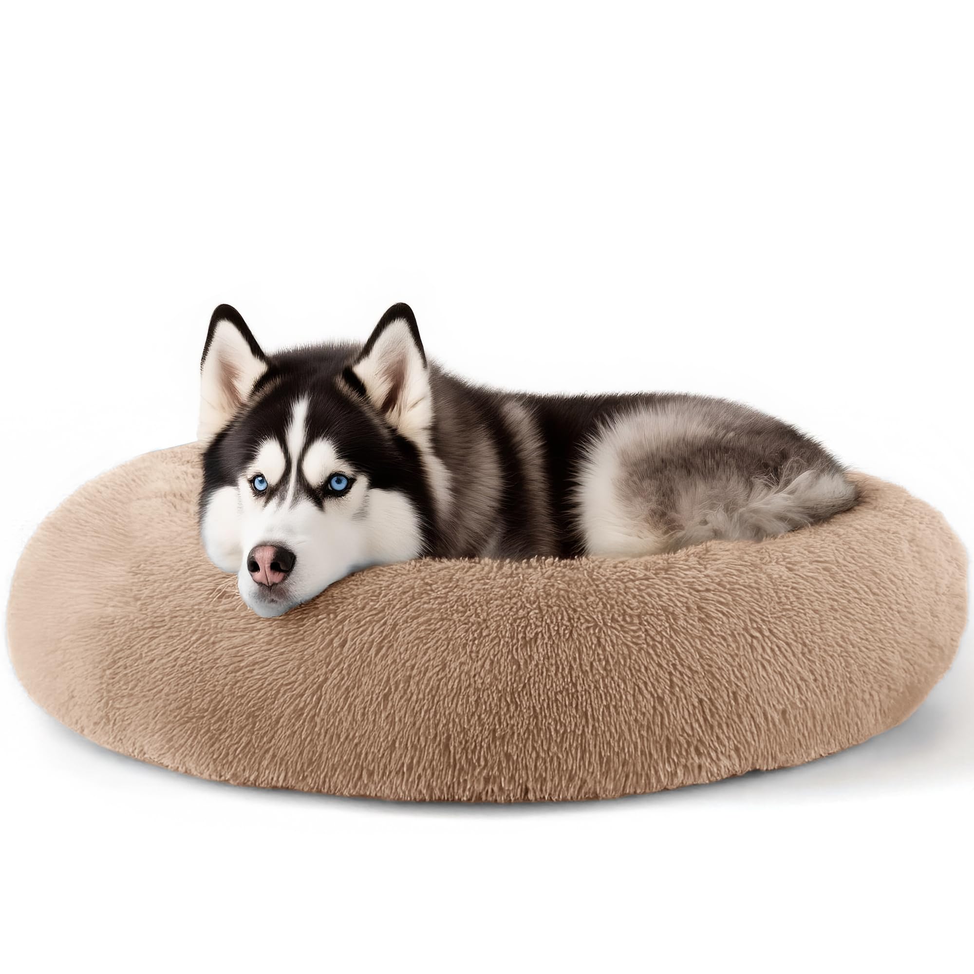 Suitable for indoor cat beds, a 20 inch soothing donut bed for kittens