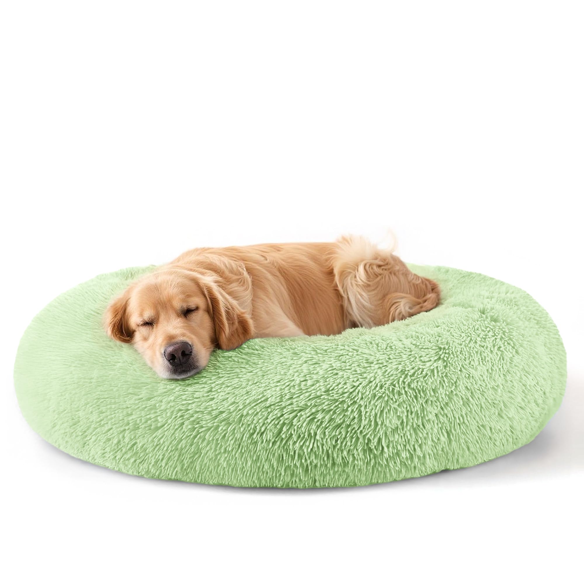 Suitable for indoor cat beds, a 20 inch soothing donut bed for kittens