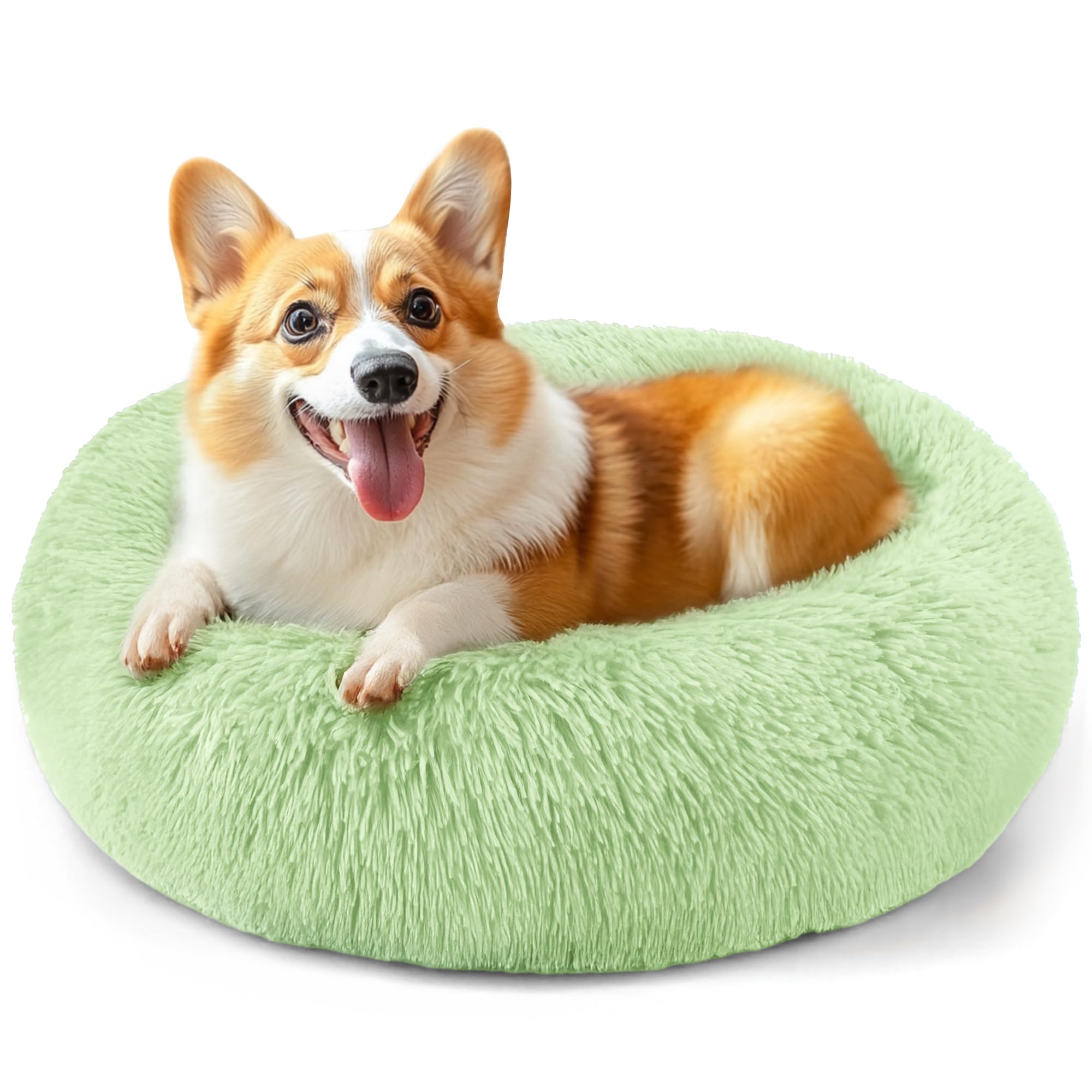 Suitable for indoor cat beds, a 20 inch soothing donut bed for kittens