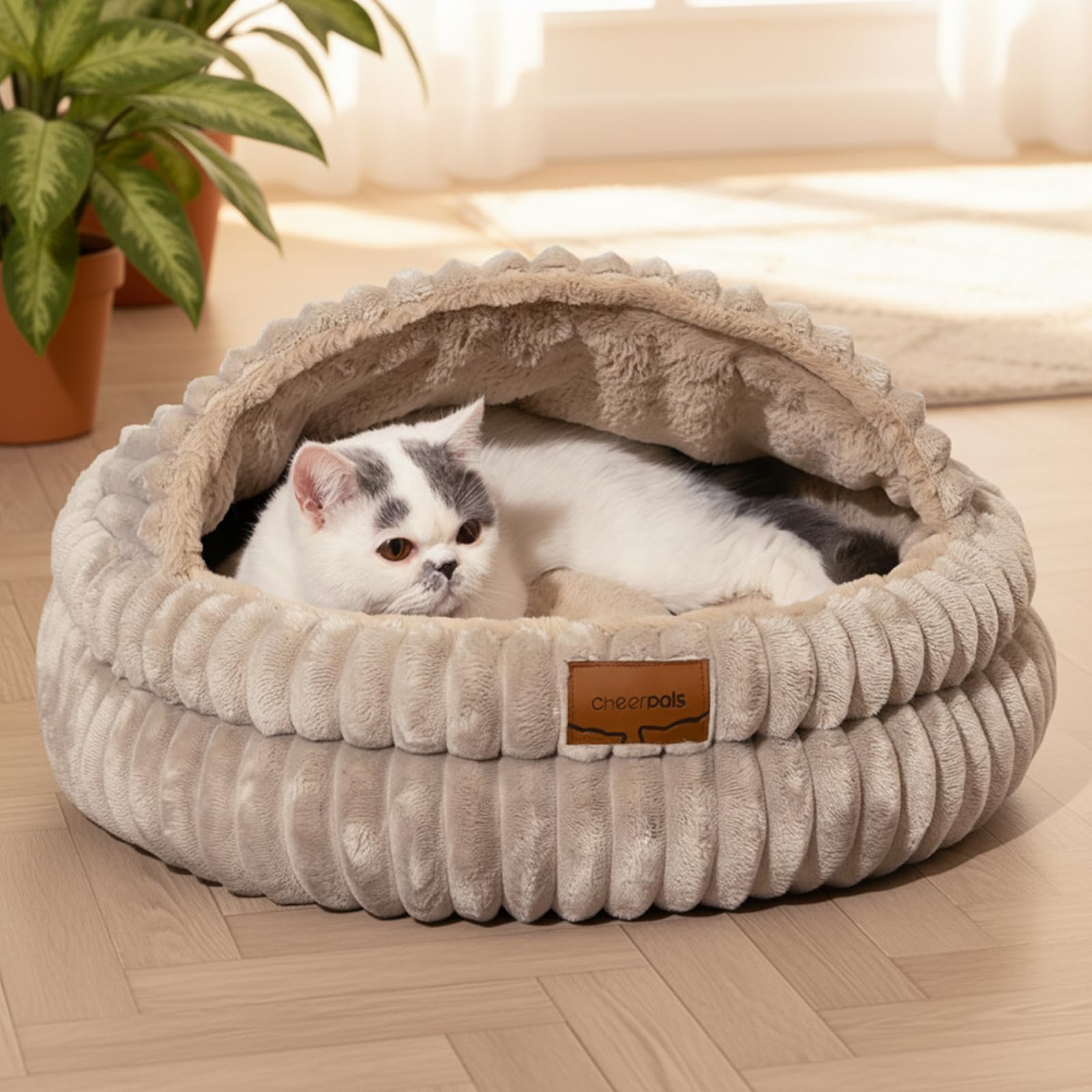 Indoor cat hole bed, washable covered cat bed