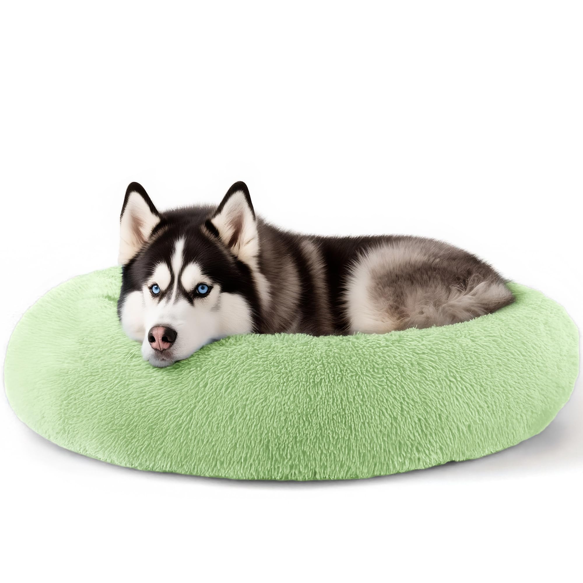 Suitable for indoor cat beds, a 20 inch soothing donut bed for kittens