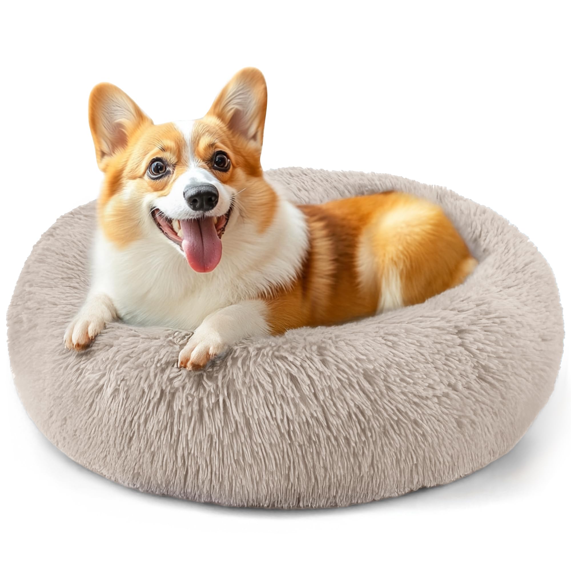 Suitable for indoor cat beds, a 20 inch soothing donut bed for kittens