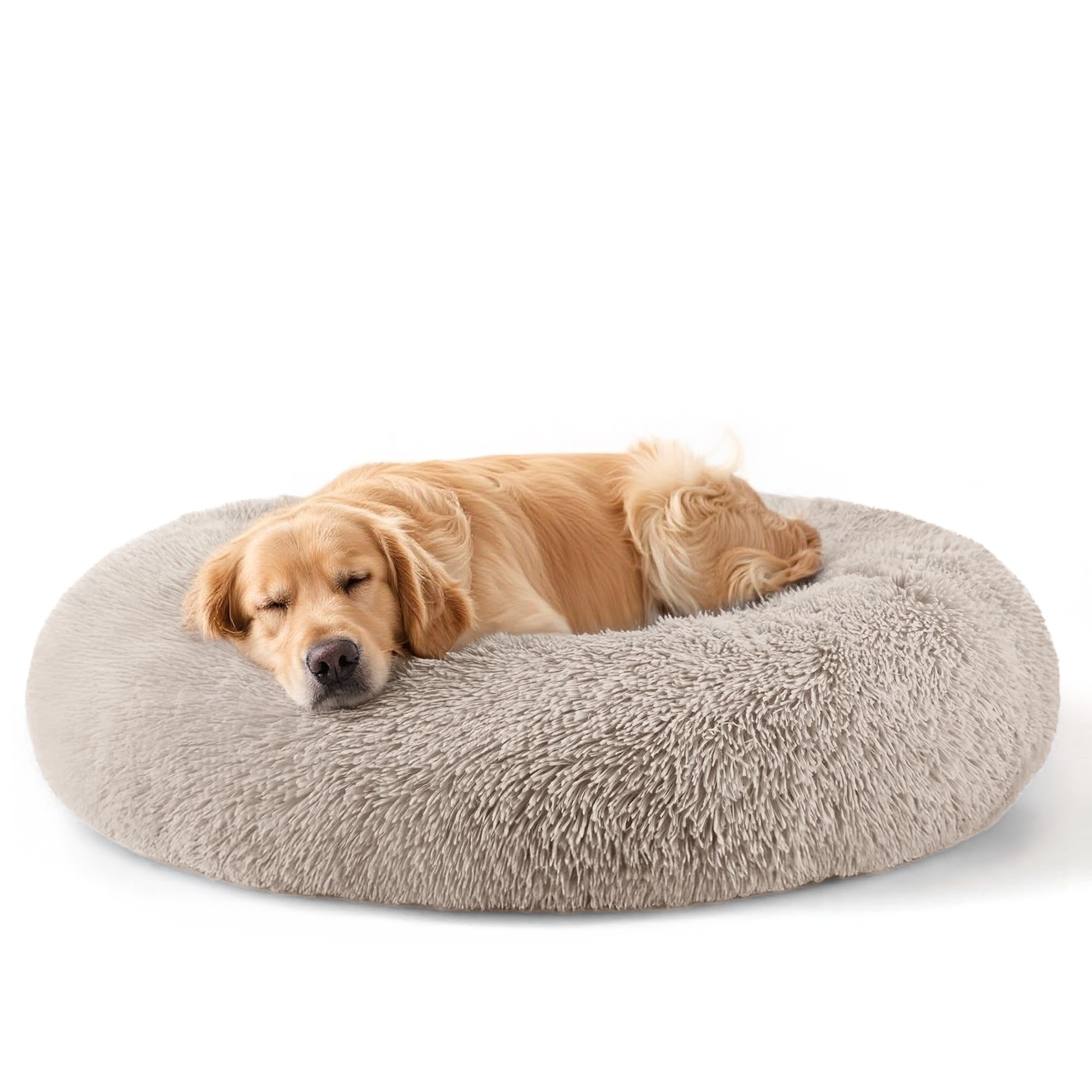 Suitable for indoor cat beds, a 20 inch soothing donut bed for kittens
