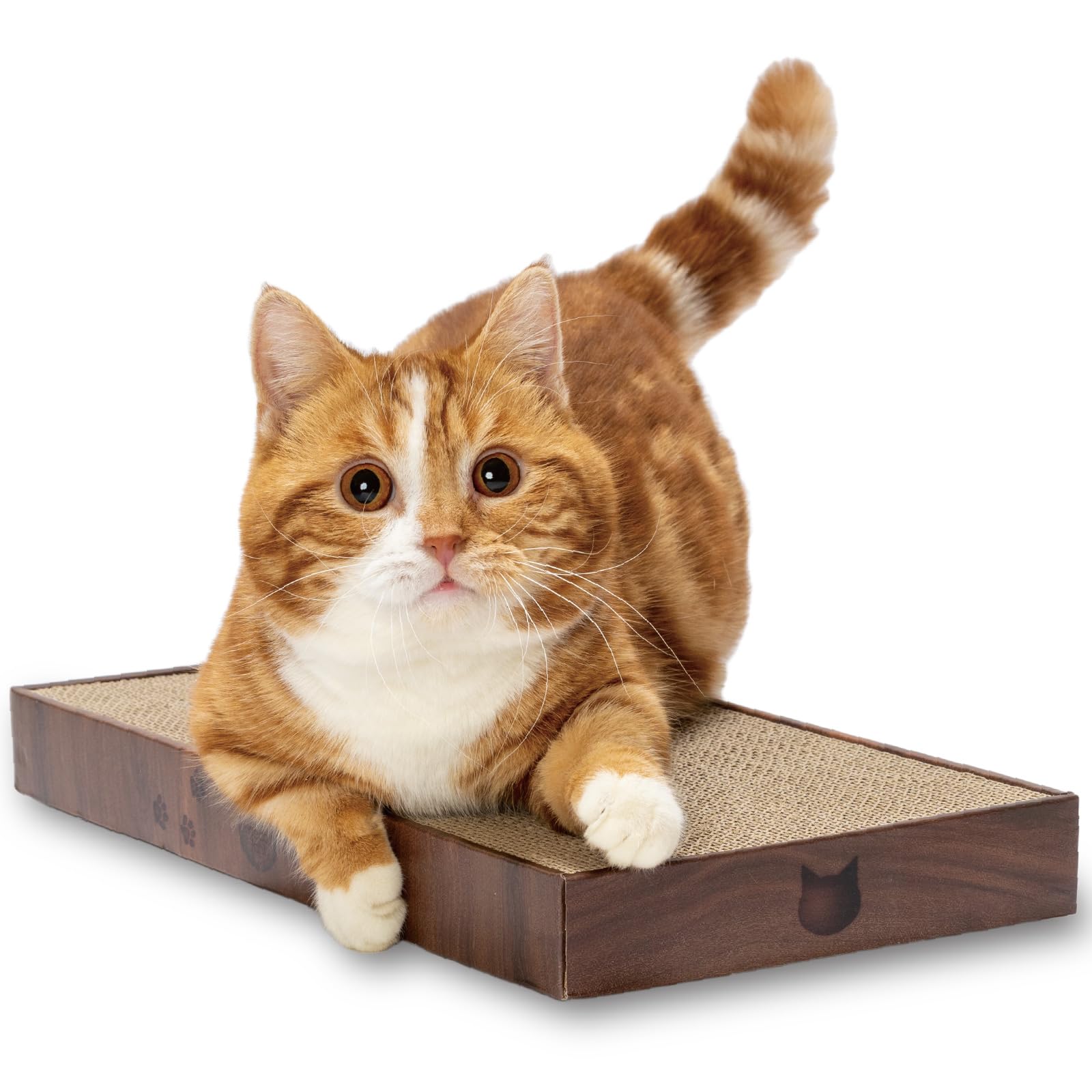 Cardboard indoor cat scratching bed - Catching board (16 inch regular)
