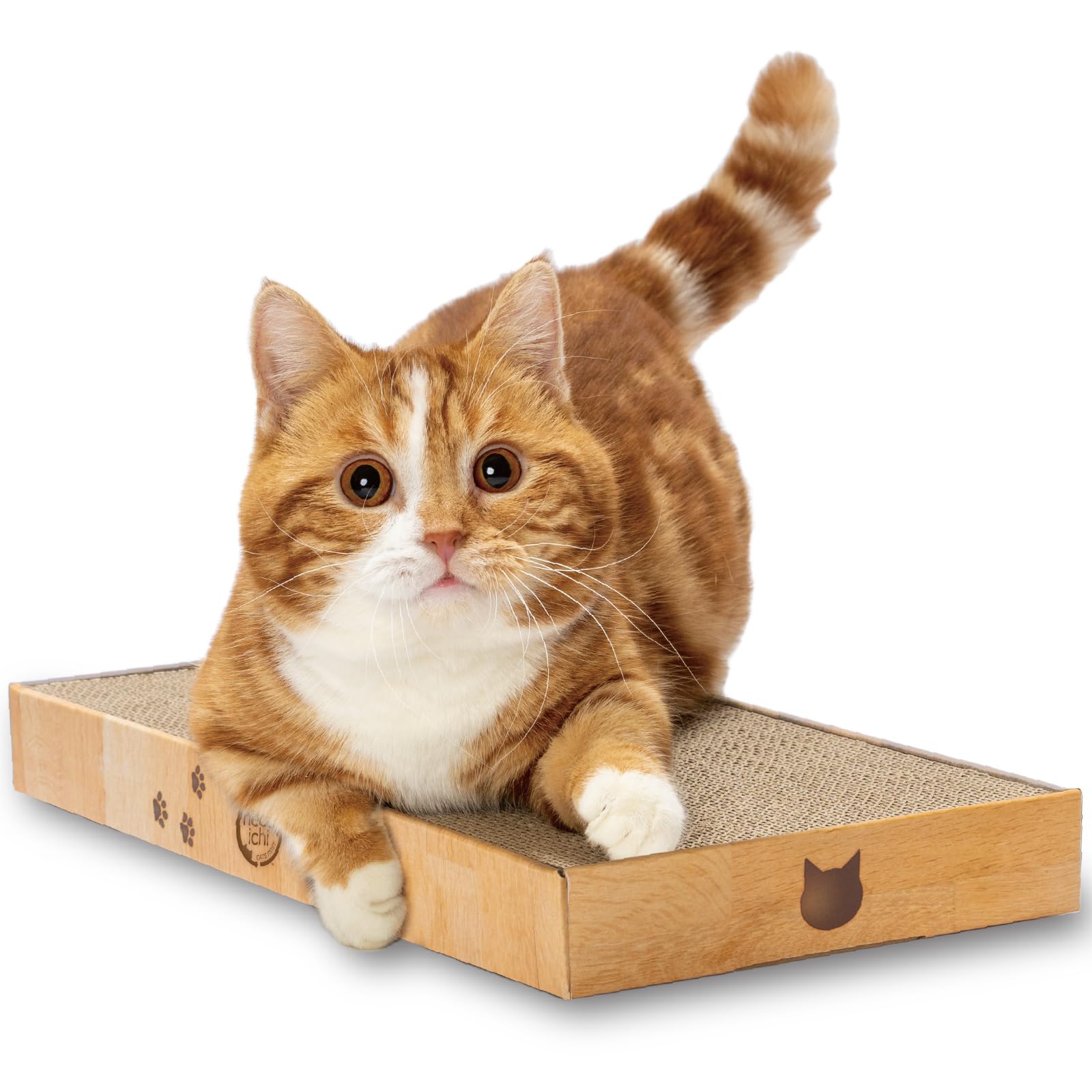 Cardboard indoor cat scratching bed - Catching board (16 inch regular)