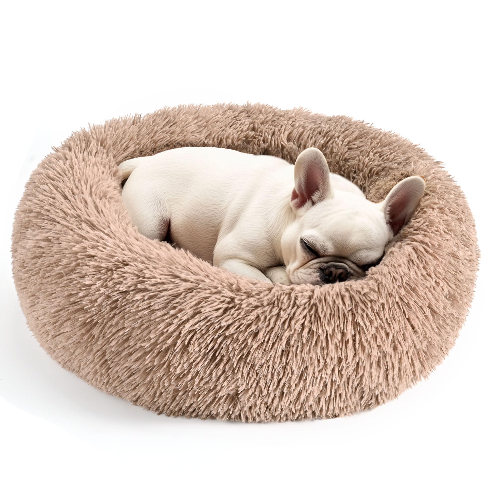 Suitable for indoor cat beds, a 20 inch soothing donut bed for kittens