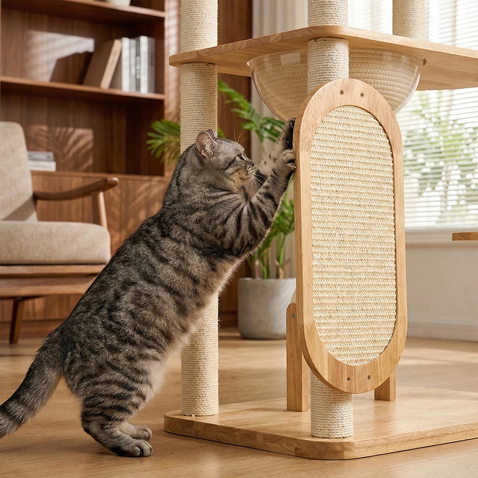Solid rubber wooden cat climbing frame with grab bar, easy to clean, suitable for multiple large cats
