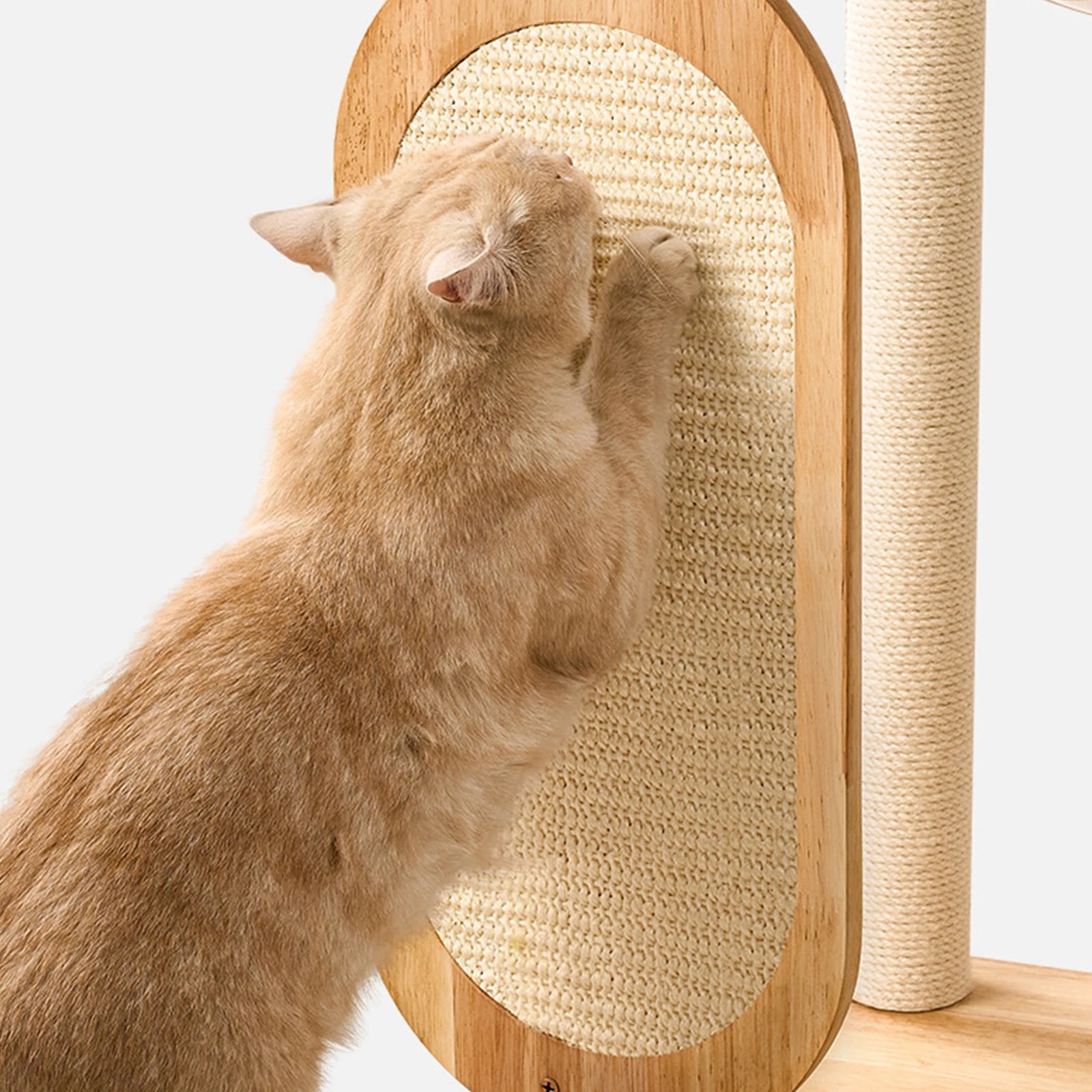 Solid rubber wooden cat climbing frame with grab bar, easy to clean, suitable for multiple large cats