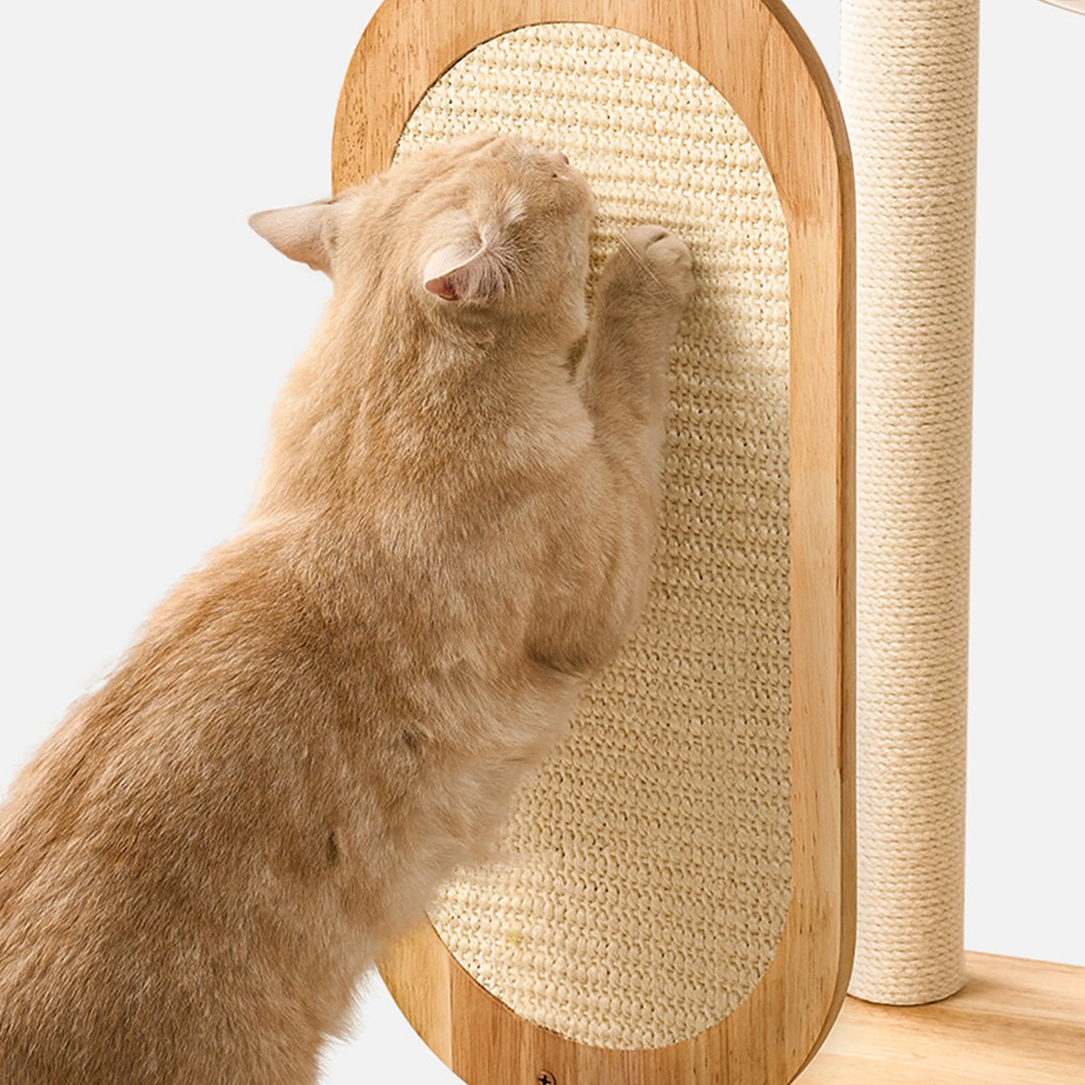Solid rubber wooden cat climbing frame with grab bar, easy to clean, suitable for multiple large cats