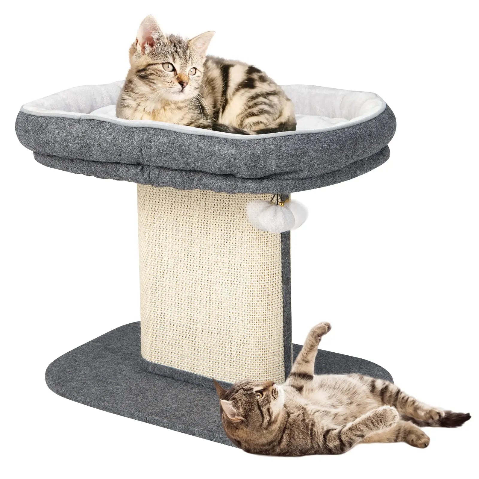 19.5-inch cat tree with 2 layers of minimalist style, paired with a sisal grab bar and comfortable bass, suitable for indoor cat beige